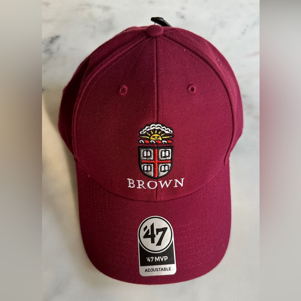 NWT Brown University baseball hat